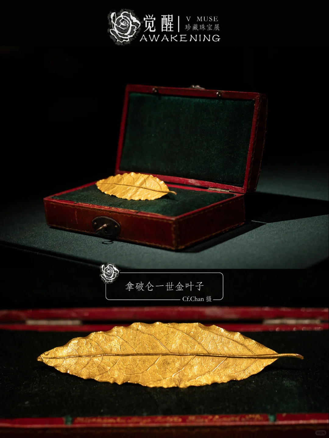 上海展览|又掉到珠宝展的窝里！觉醒珠宝展