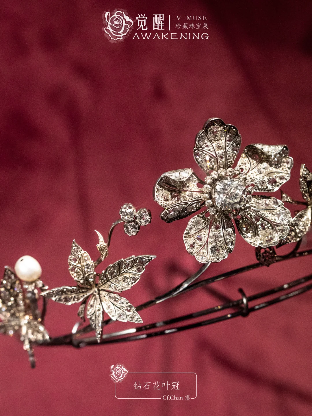 上海展览|又掉到珠宝展的窝里！觉醒珠宝展