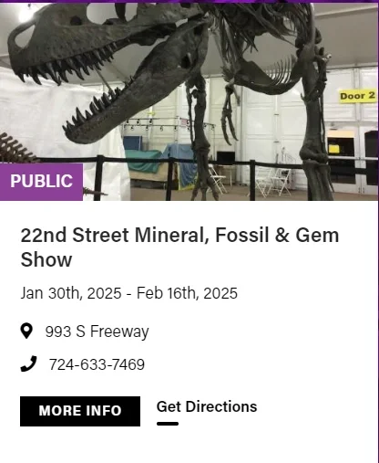 2025图森展|有哪些展会适合化石爱好者呢?