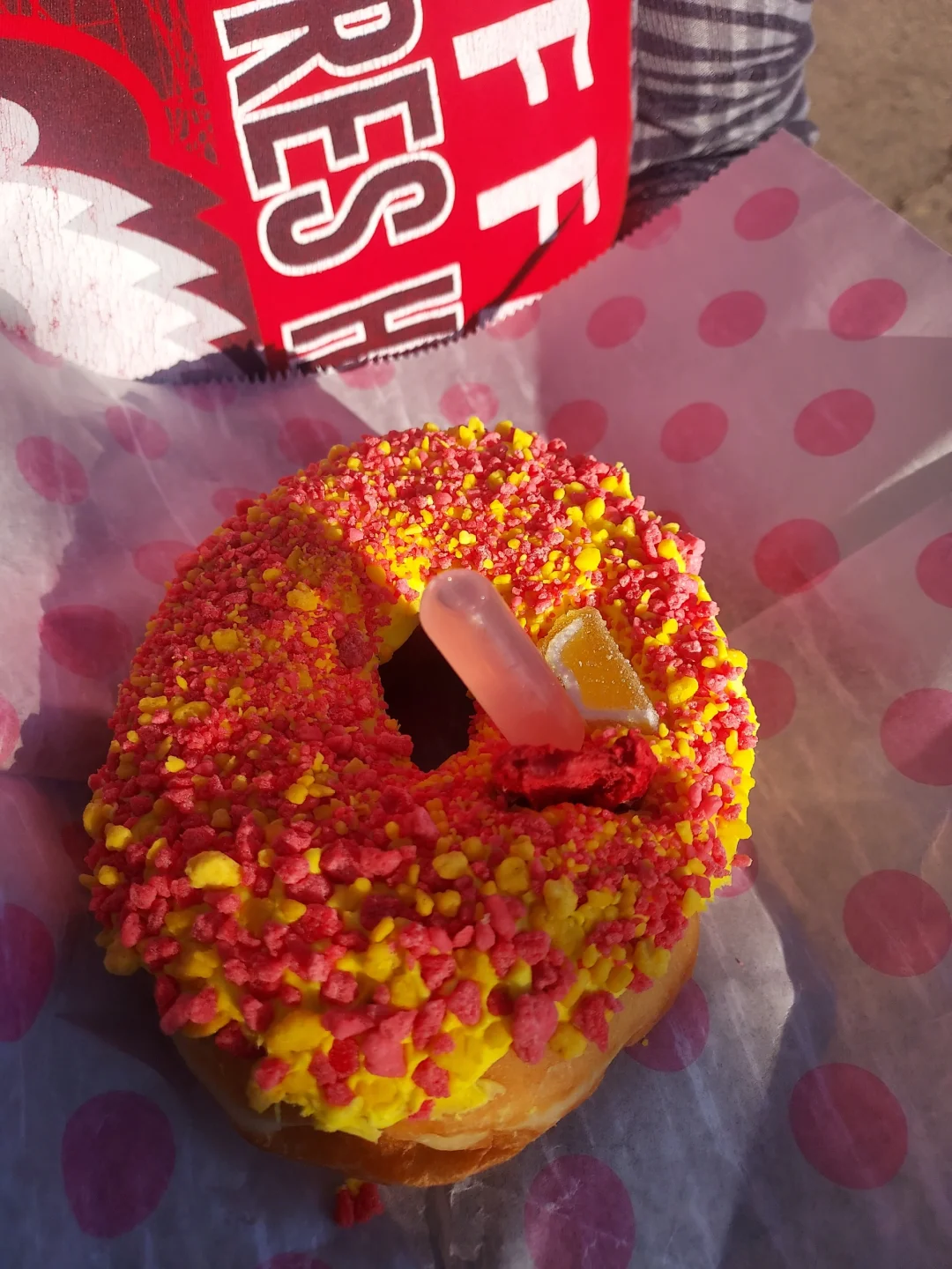 2024 年北卡罗来纳州博览会