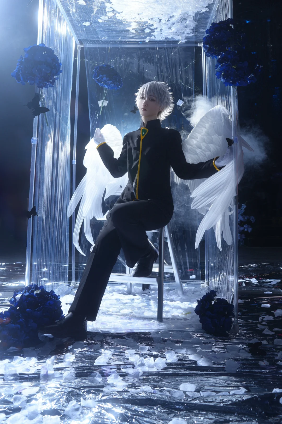 申请自由行求溺爱