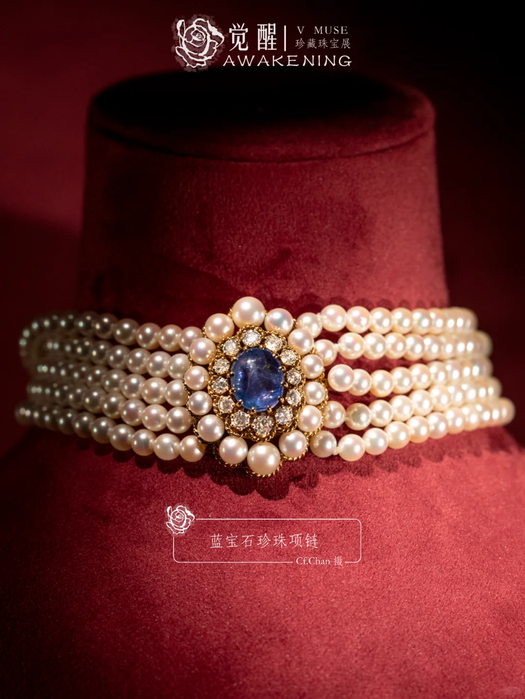上海展览|又掉到珠宝展的窝里！觉醒珠宝展