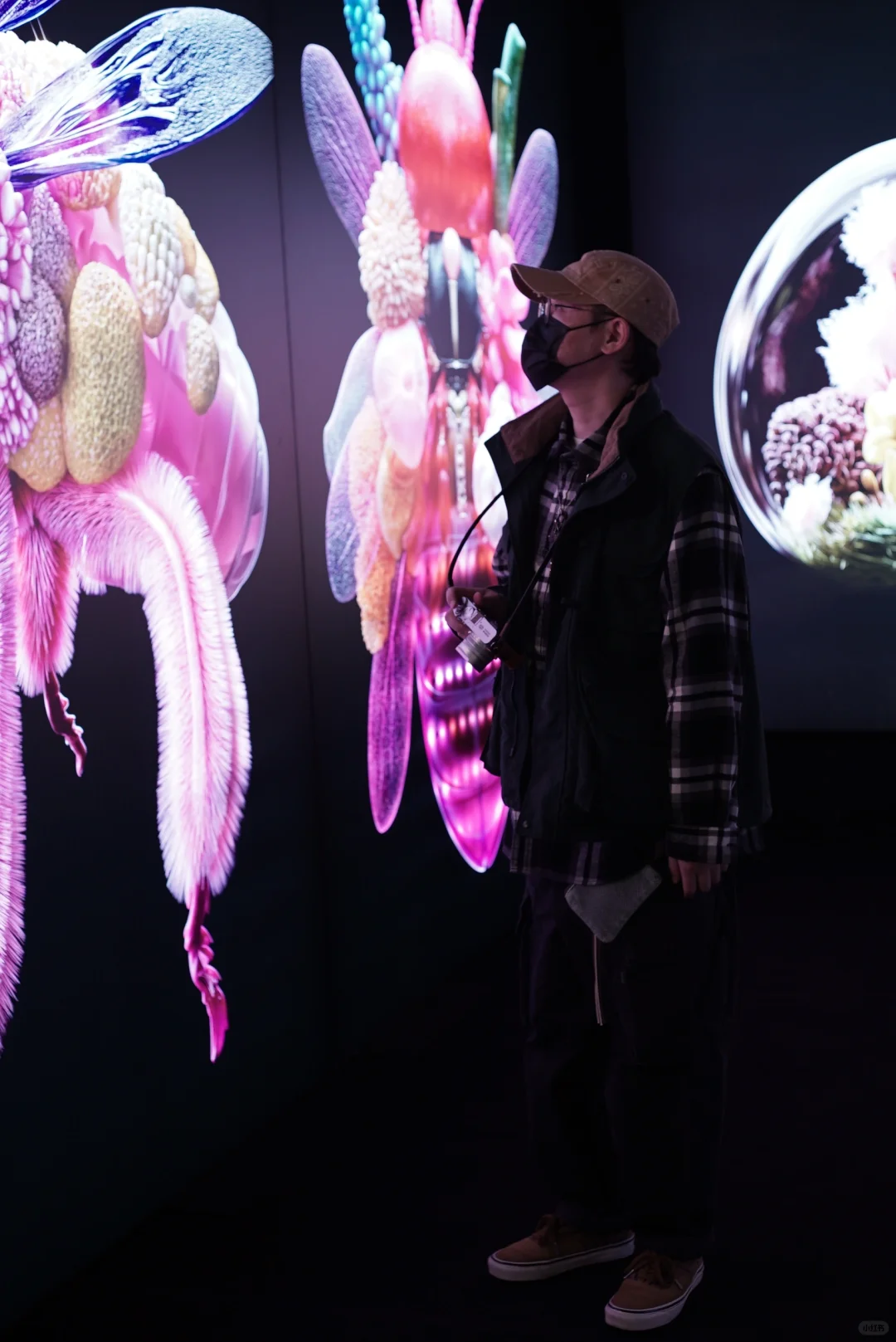 沉浸式艺术空间，带你走进梦幻般的艺术世界！