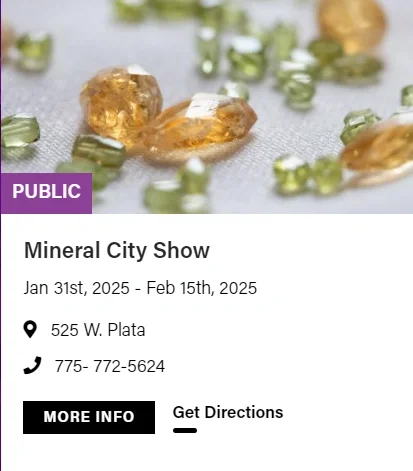 2025图森展|有哪些展会适合化石爱好者呢?