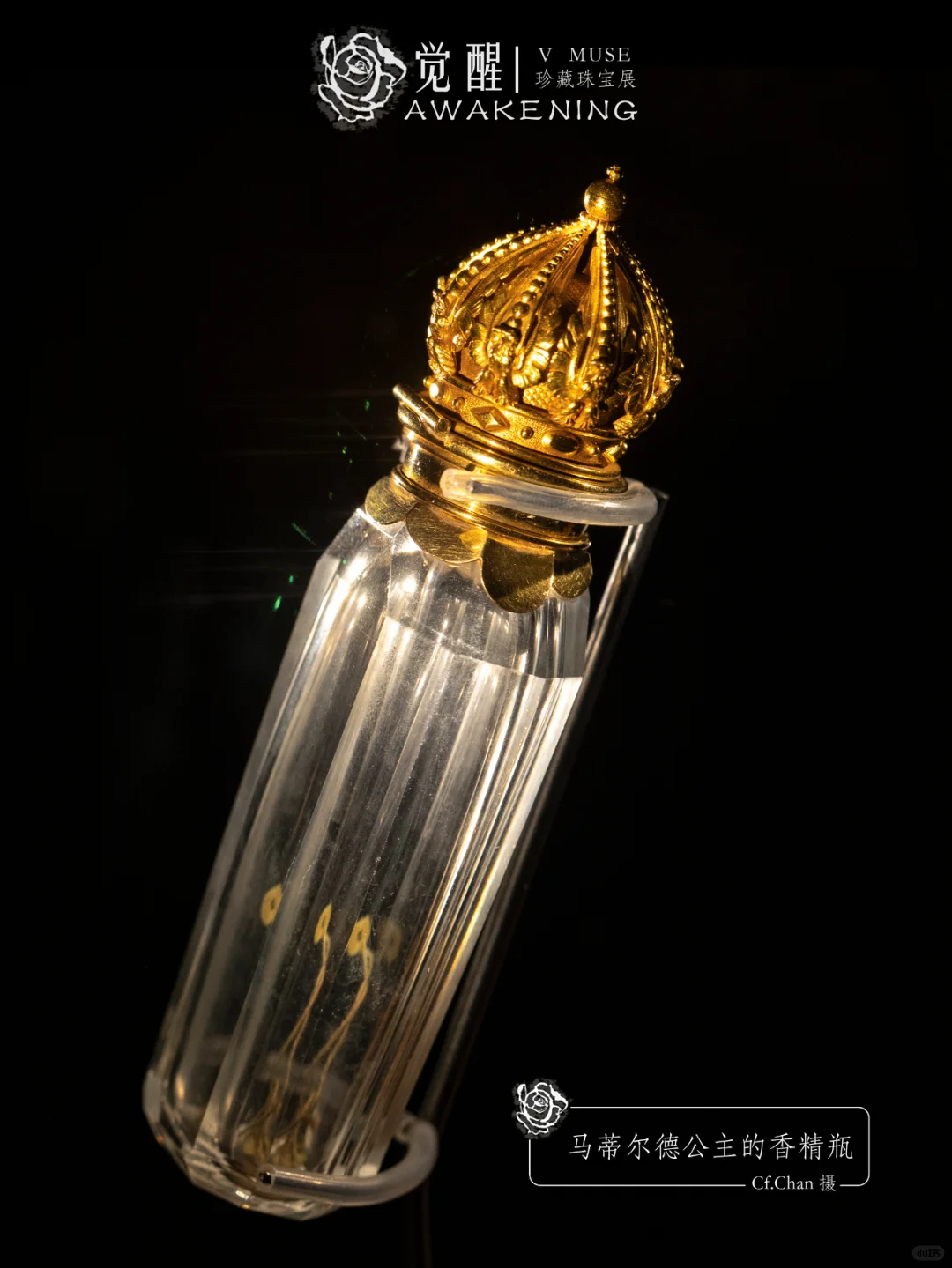 上海展览|又掉到珠宝展的窝里！觉醒珠宝展