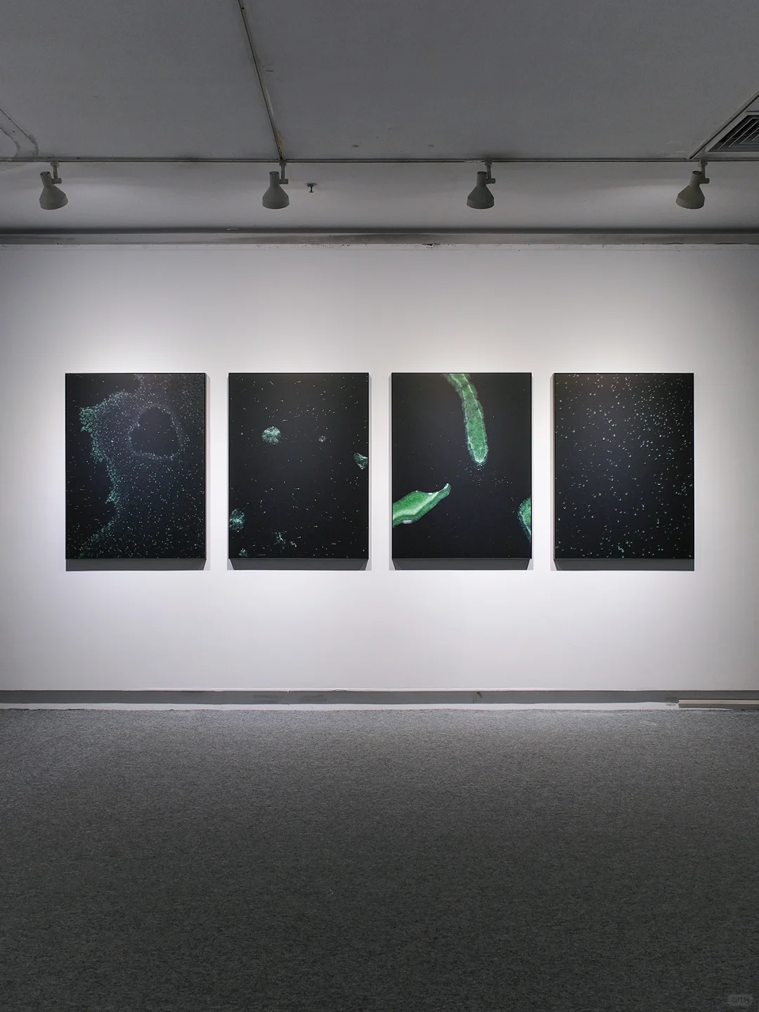 ✨广州免费新展丨不要错过广美这4个展～