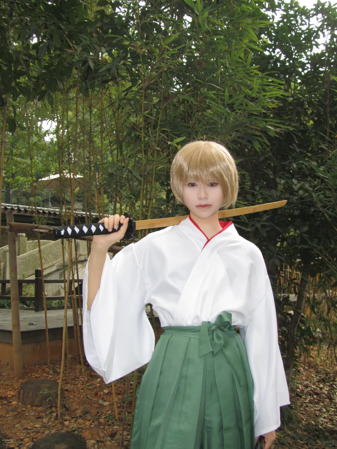 第41届ACC自由行申请