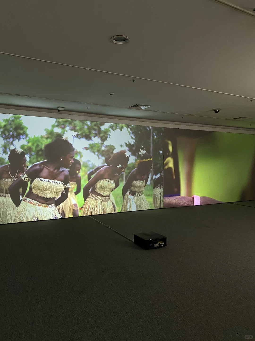 ✨广州免费新展丨不要错过广美这4个展～