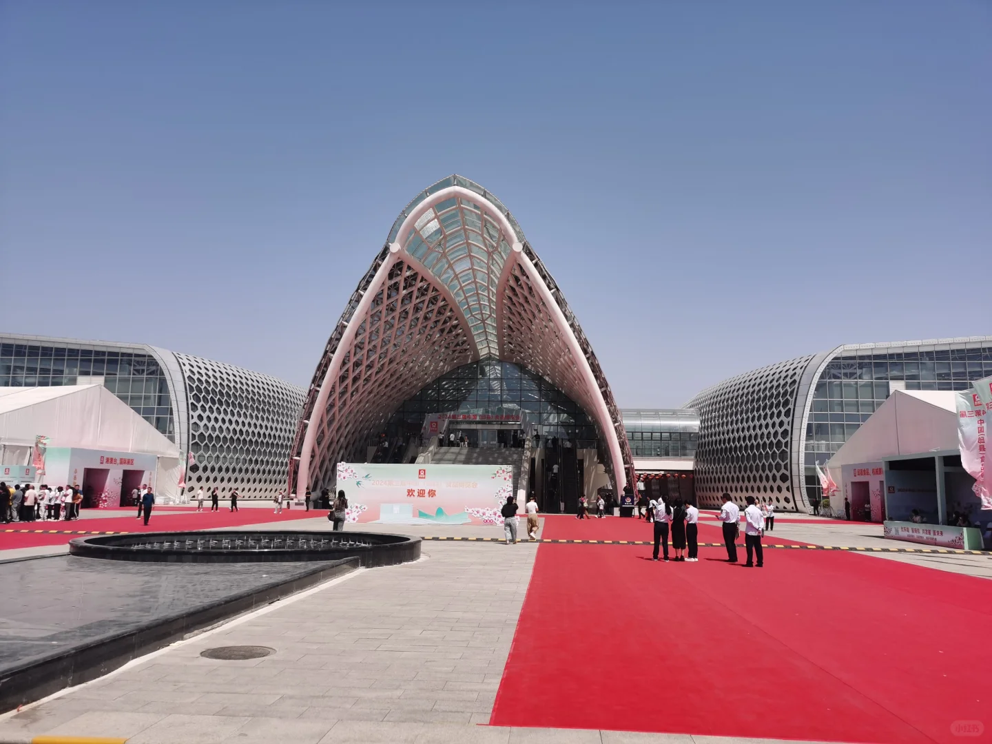 竹林墨客：2024年邱县食品博览会