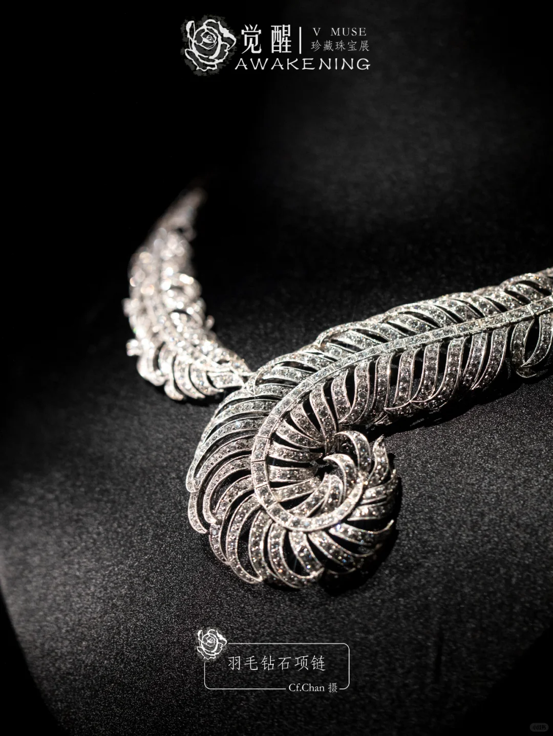 上海展览|又掉到珠宝展的窝里！觉醒珠宝展