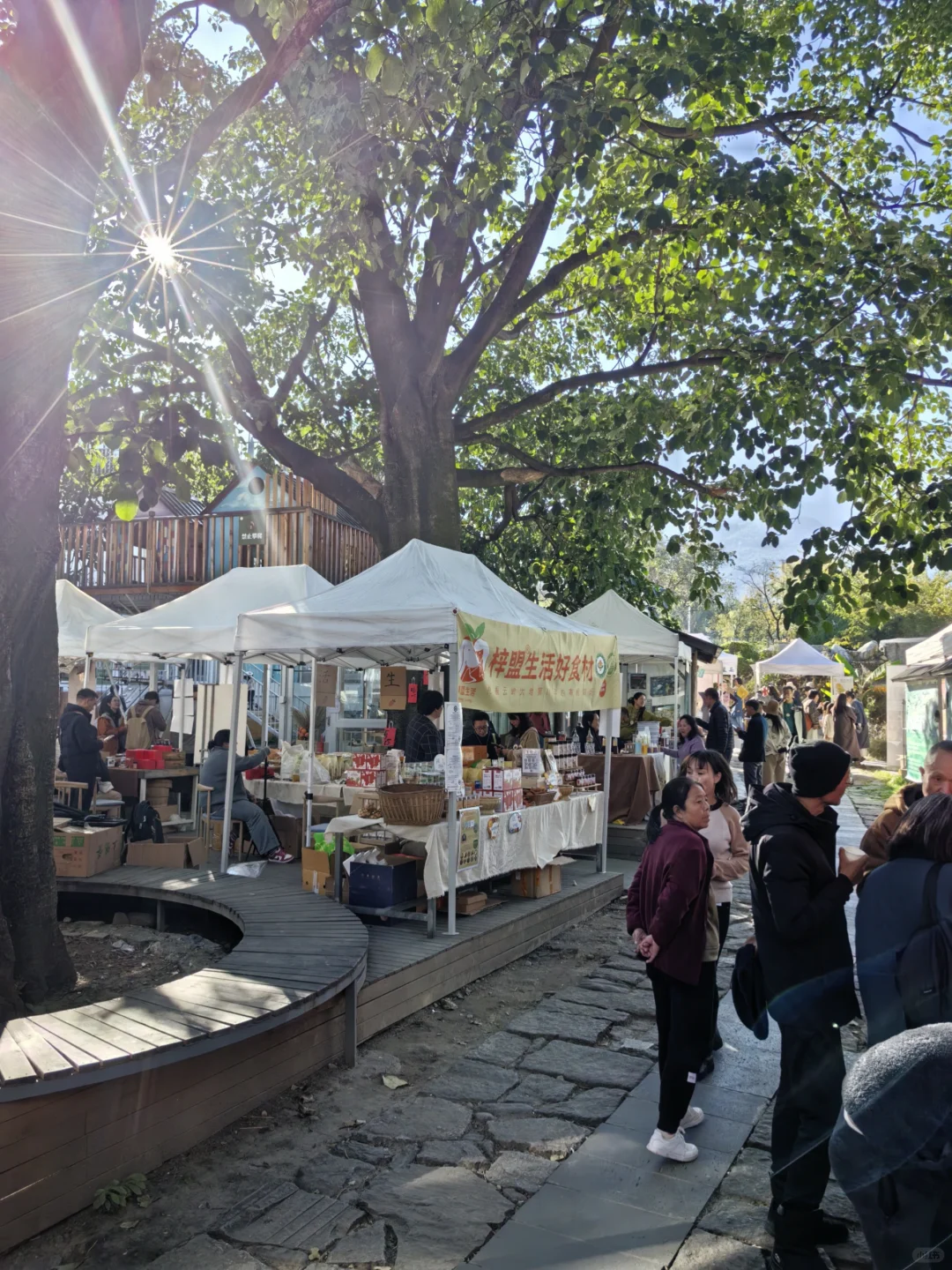 开在大理的生态有机农场品云南博览会