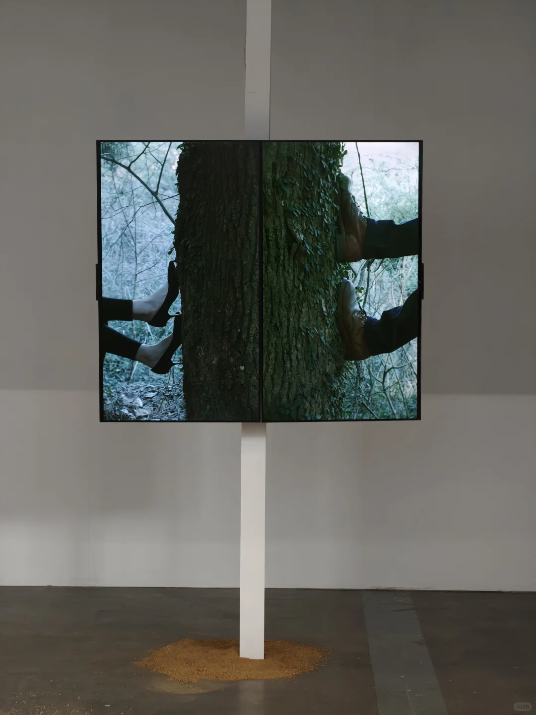 一个人逛 南京2024国际艺术博览会