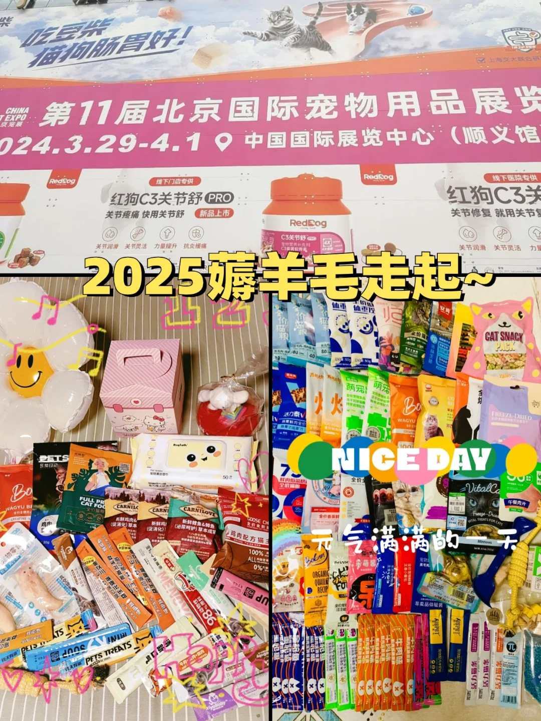 刷到了吗！2025北京宠物展门票免费啦❗️