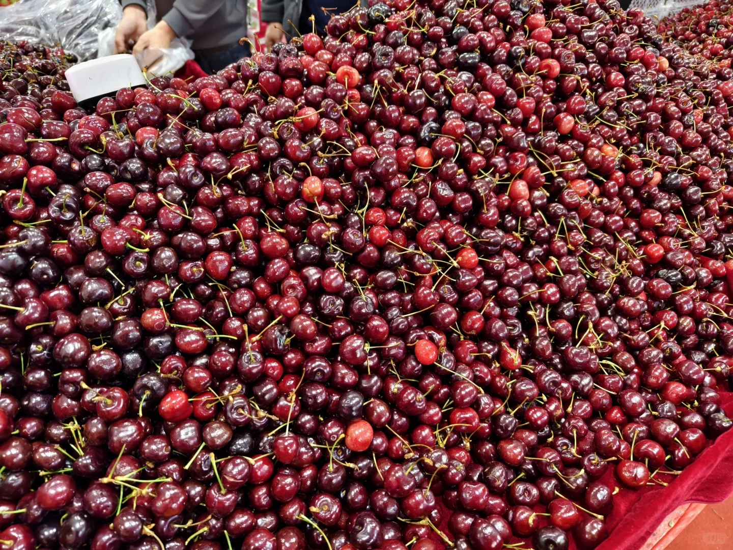 呼和浩特年货博览会太好买了
