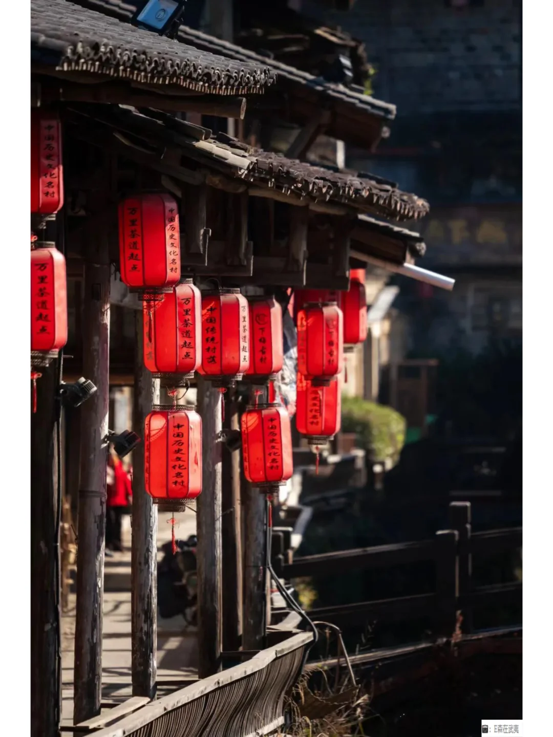 第十六届海峡两岸茶业博览会来了