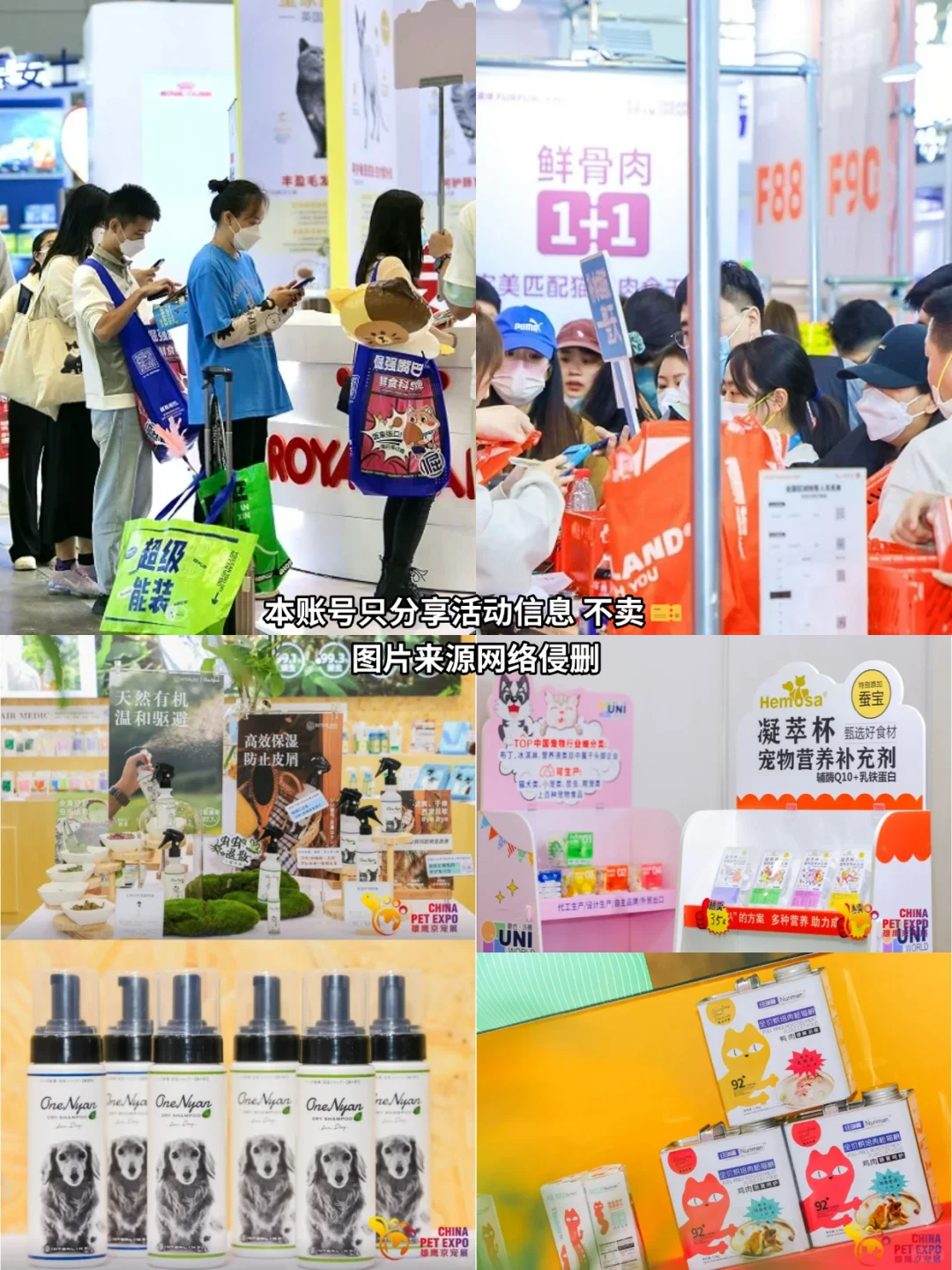 刷到了吗！2025北京宠物展门票免费啦❗️