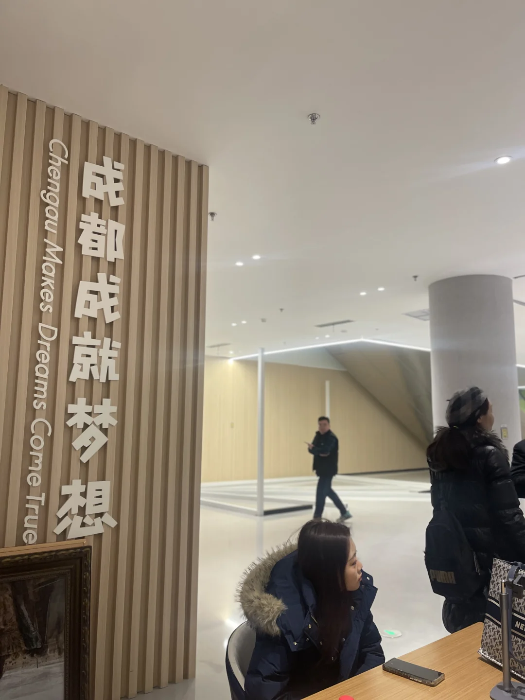 来成都首届艺术博览会展览了，可惜没观众看