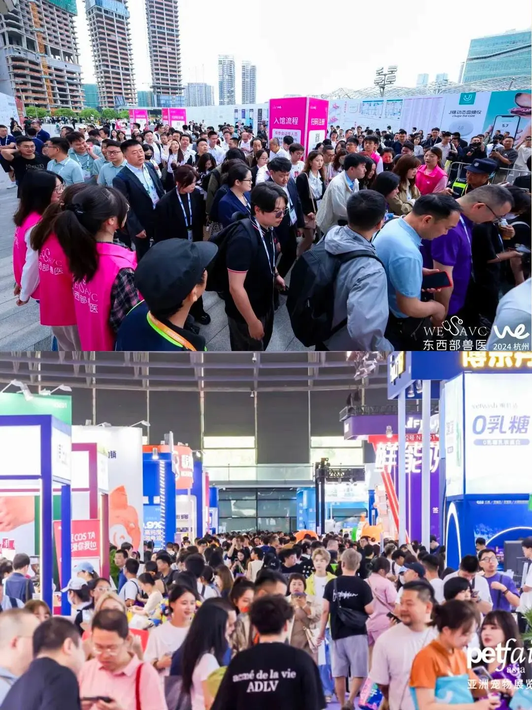 建议收藏｜2025年国内有哪些宠物展会？？