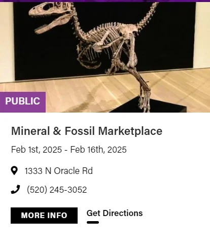 2025图森展|有哪些展会适合化石爱好者呢?