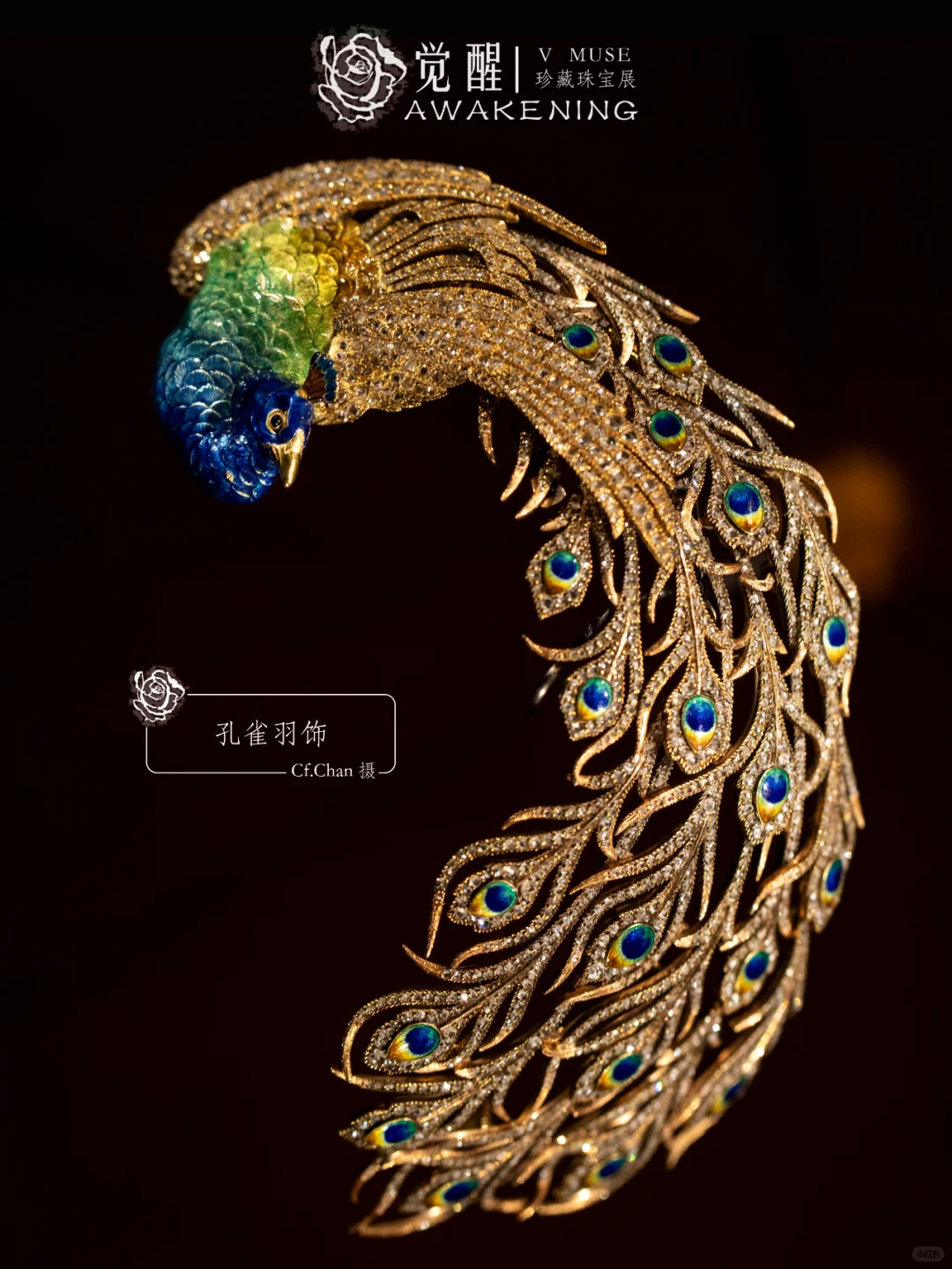 上海展览|又掉到珠宝展的窝里！觉醒珠宝展