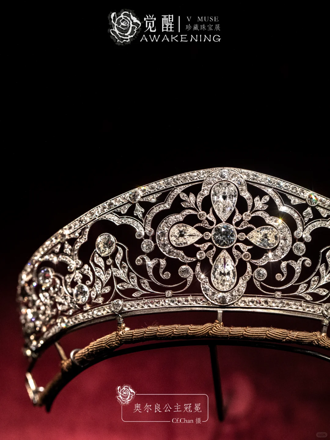 上海展览|又掉到珠宝展的窝里！觉醒珠宝展