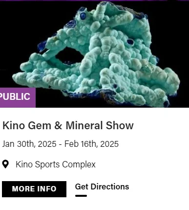 2025图森展|有哪些展会适合化石爱好者呢?