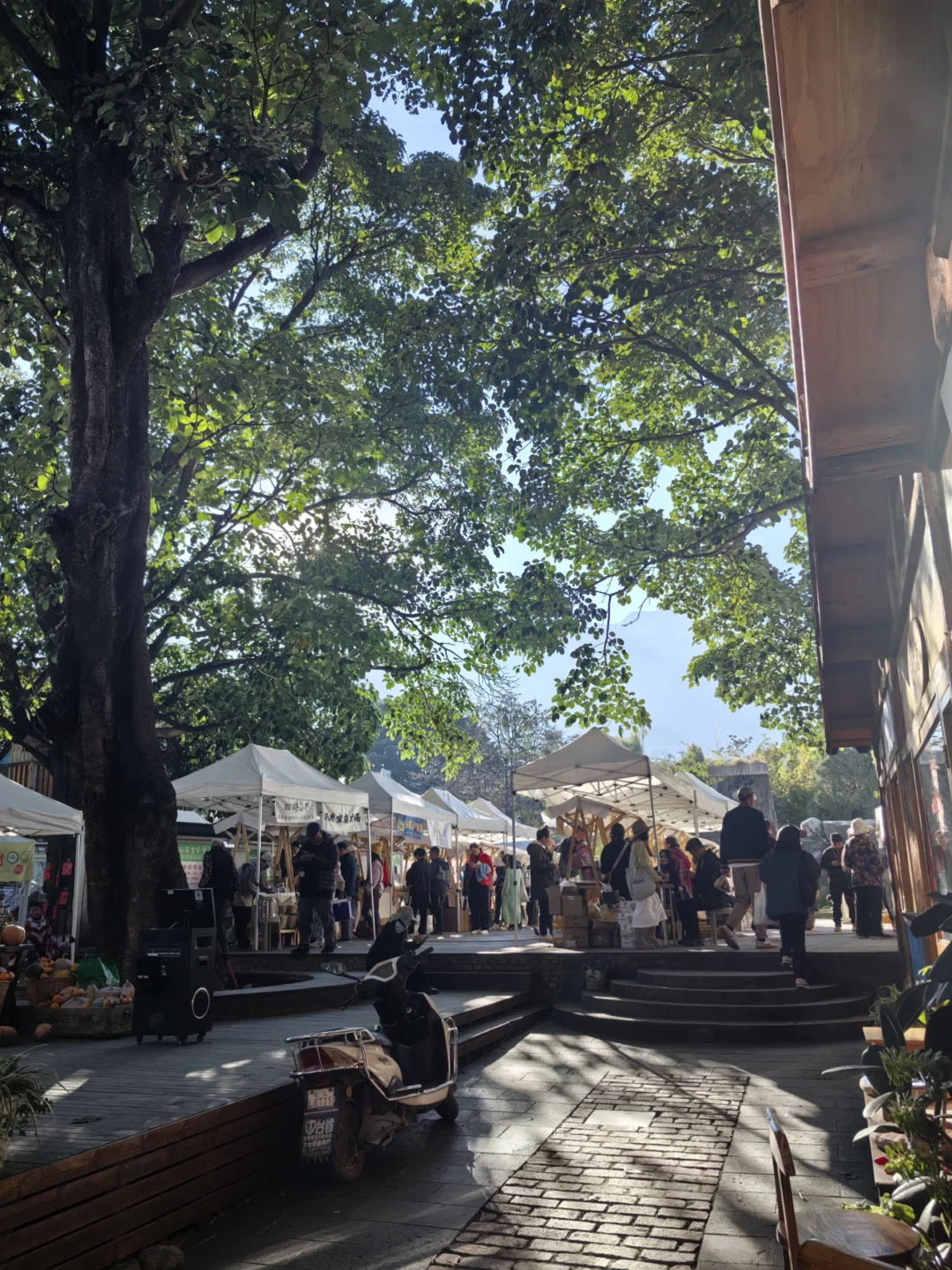 开在大理的生态有机农场品云南博览会