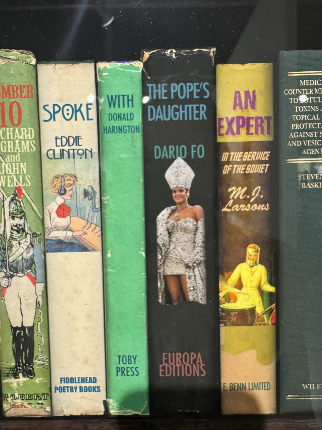 西雅图艺术博览会