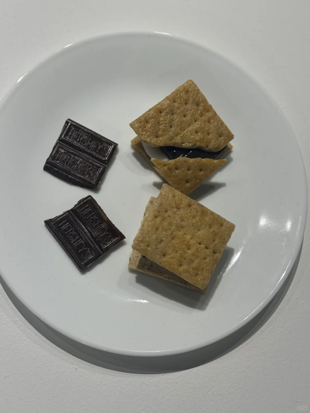 西雅图艺术博览会