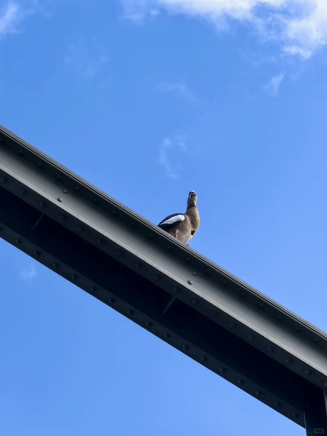 法兰克福展会第三天