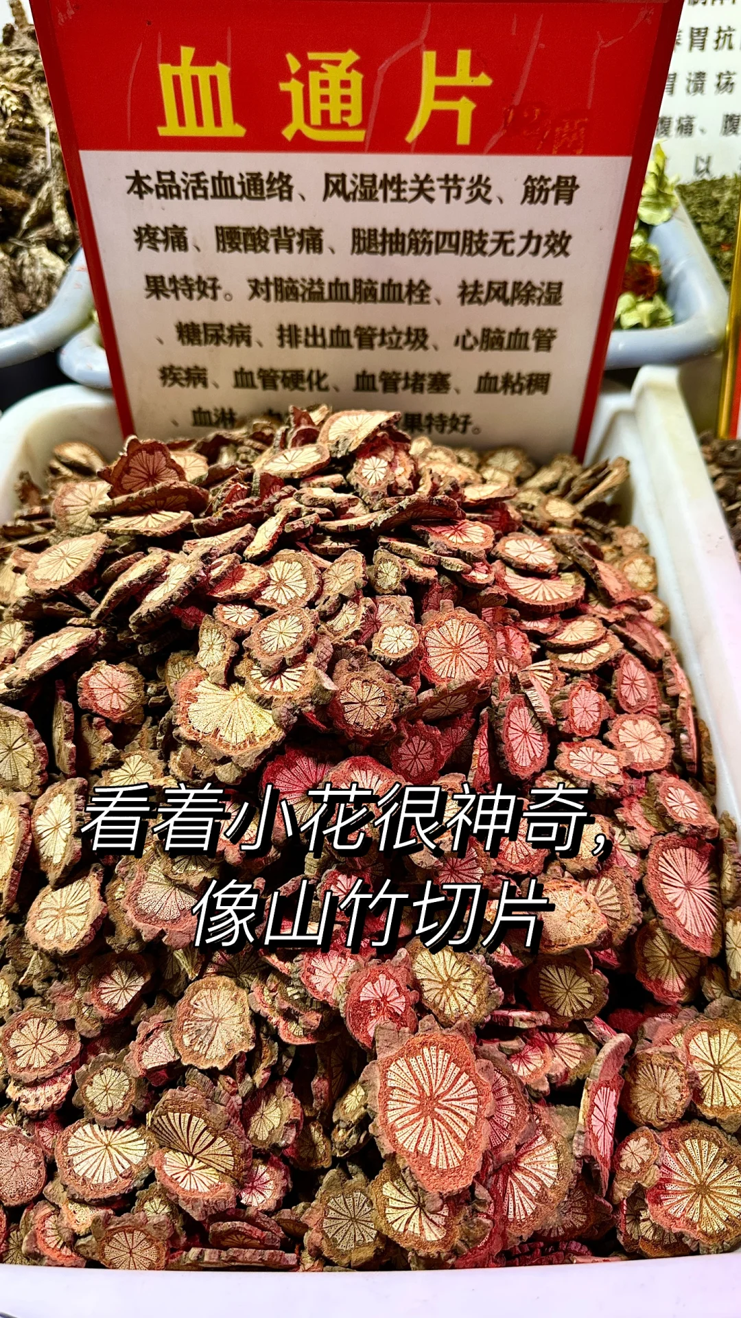 中??蒙商品博览会太好逛了！奶皮子太棒了！