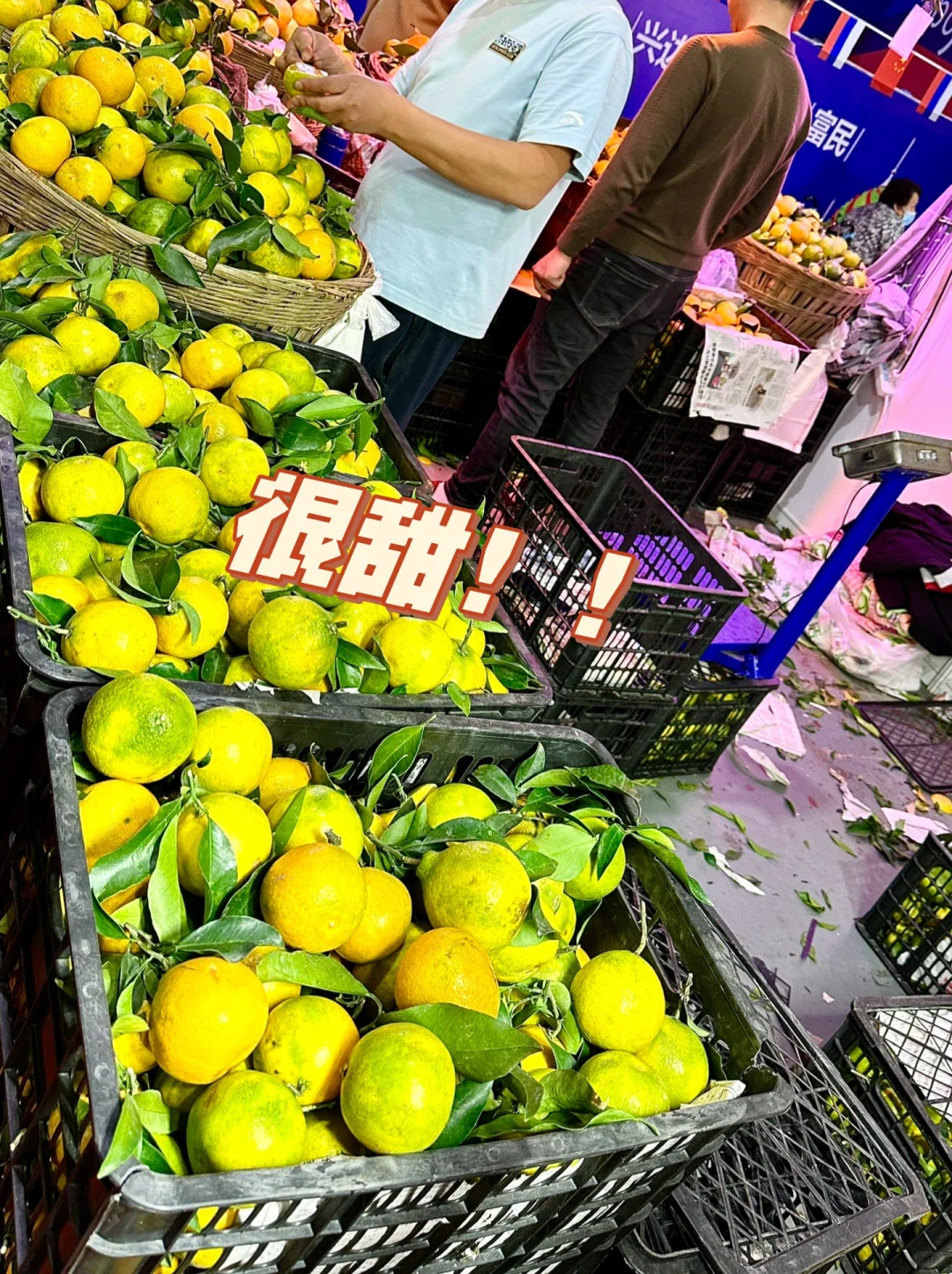 中??蒙商品博览会太好逛了！奶皮子太棒了！