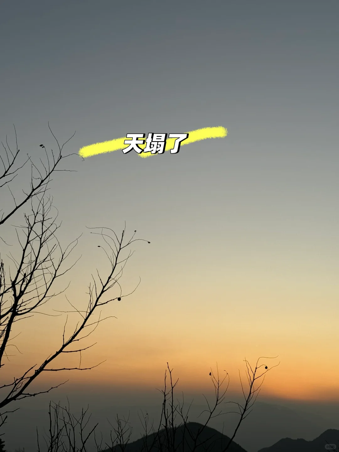 展会有用吗，白烧钱