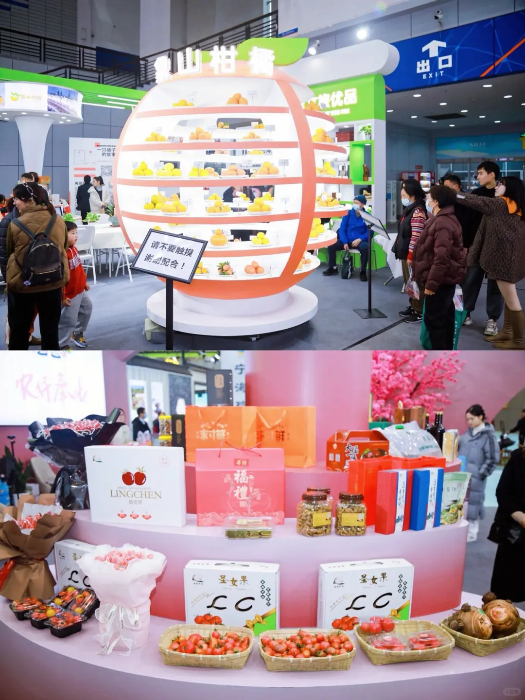 时隔一年，终于等到了2024年的农博会