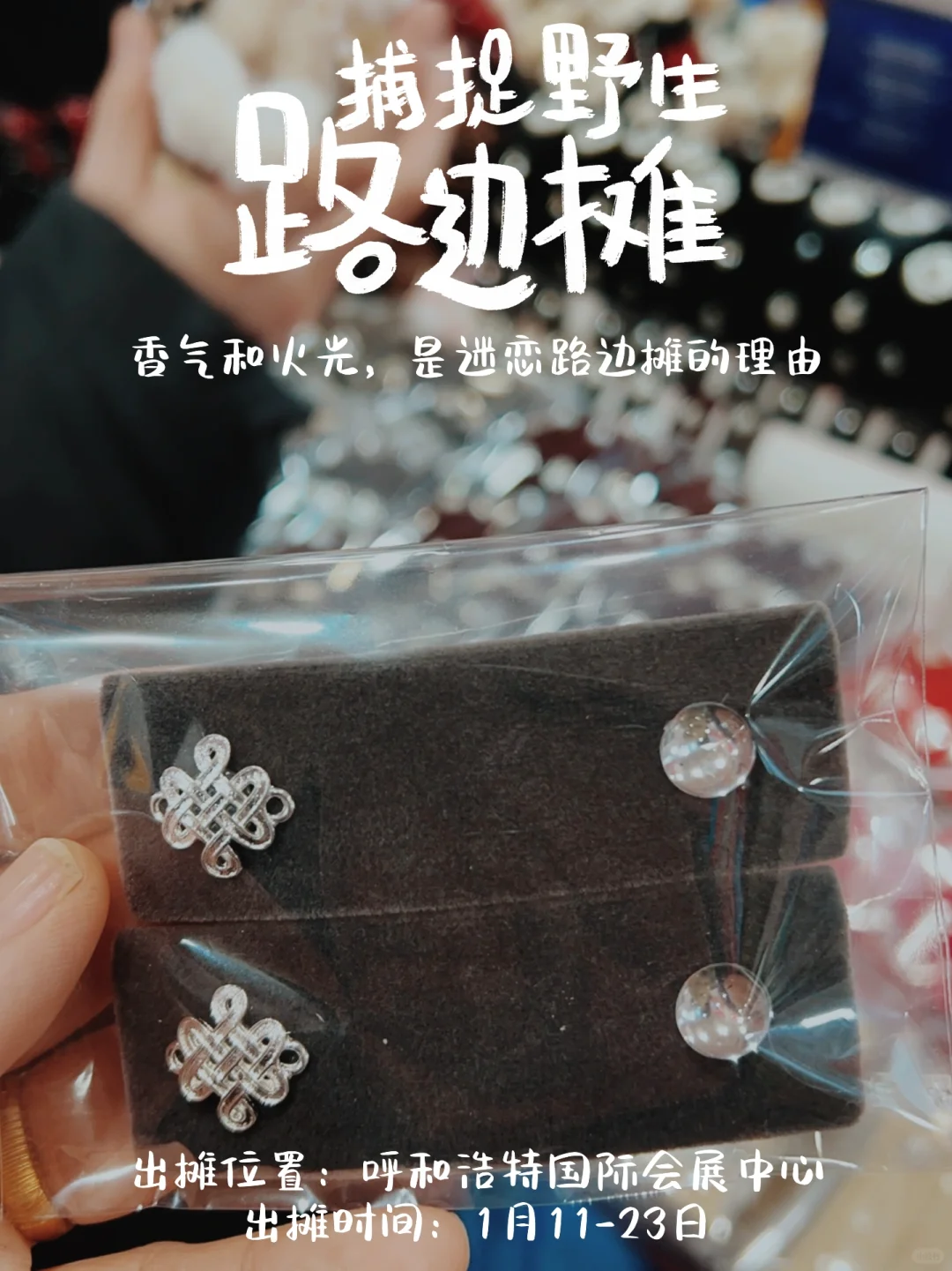 呼和浩特年货博览会还挺好逛的鸭?