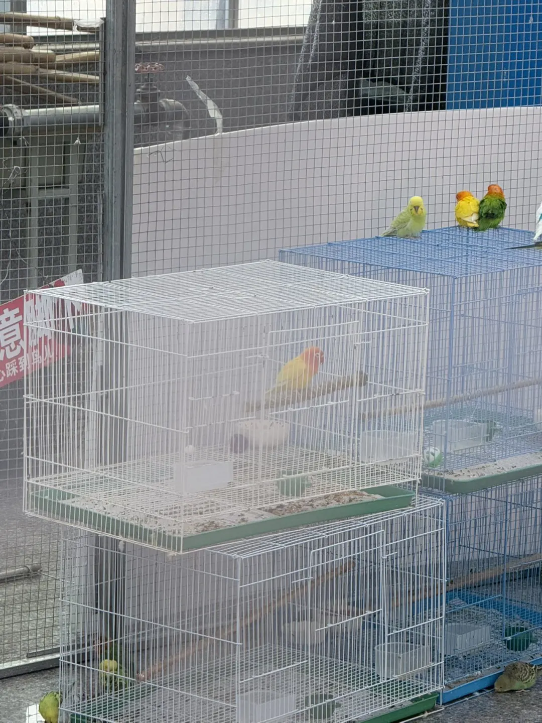 长春第十五届冬季农业博览会来啦！