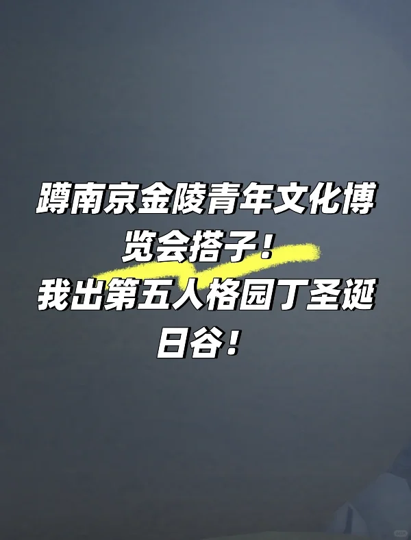 蹲南京金陵青年文化博览会搭子