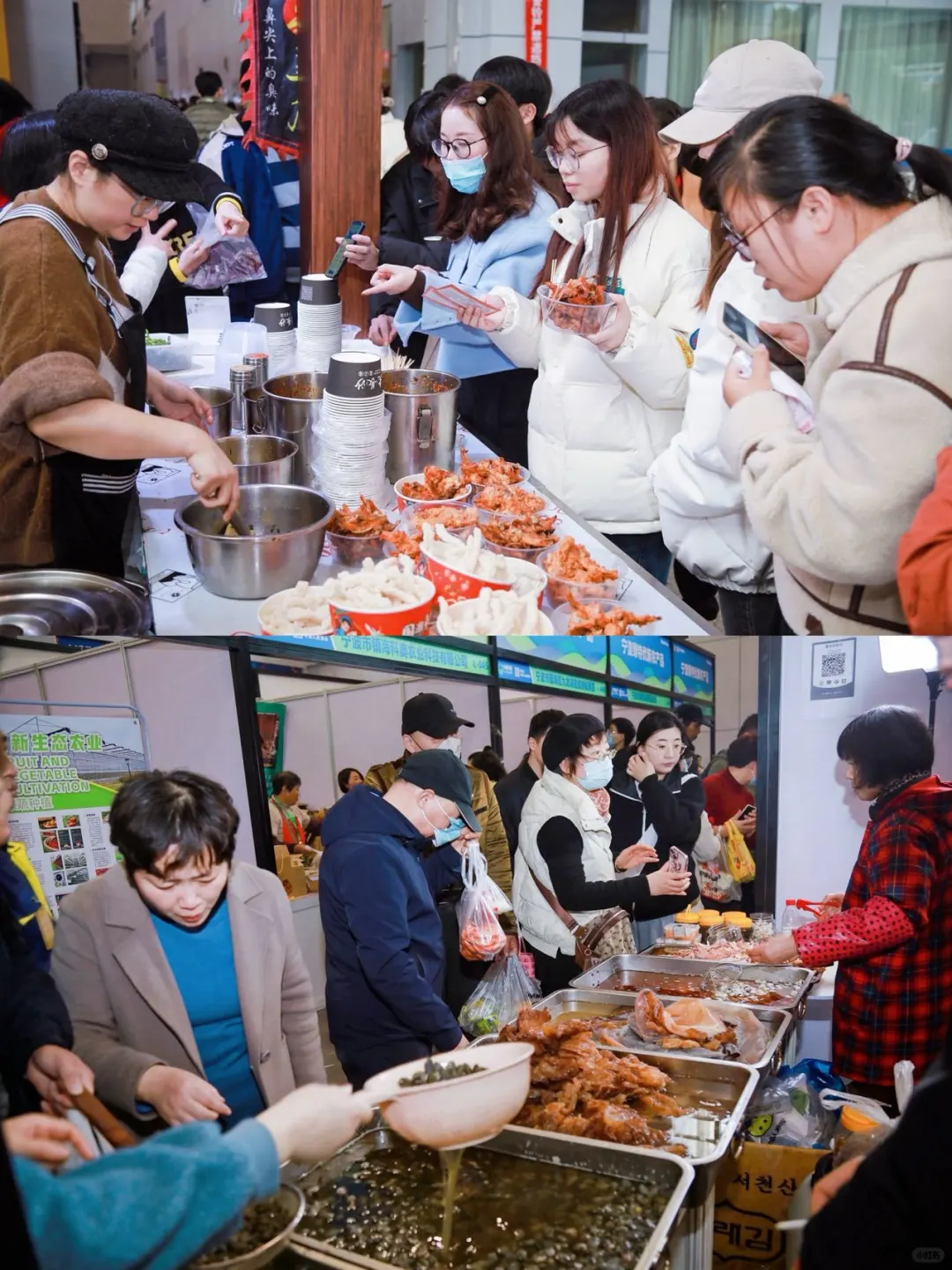 时隔一年，终于等到了2024年的农博会