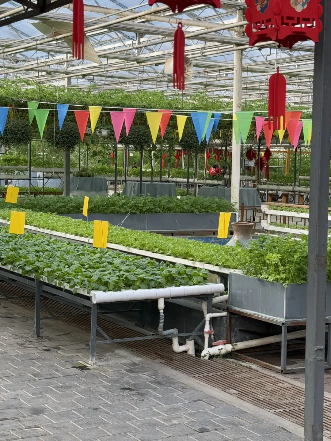 长春第十五届冬季农业博览会来啦！