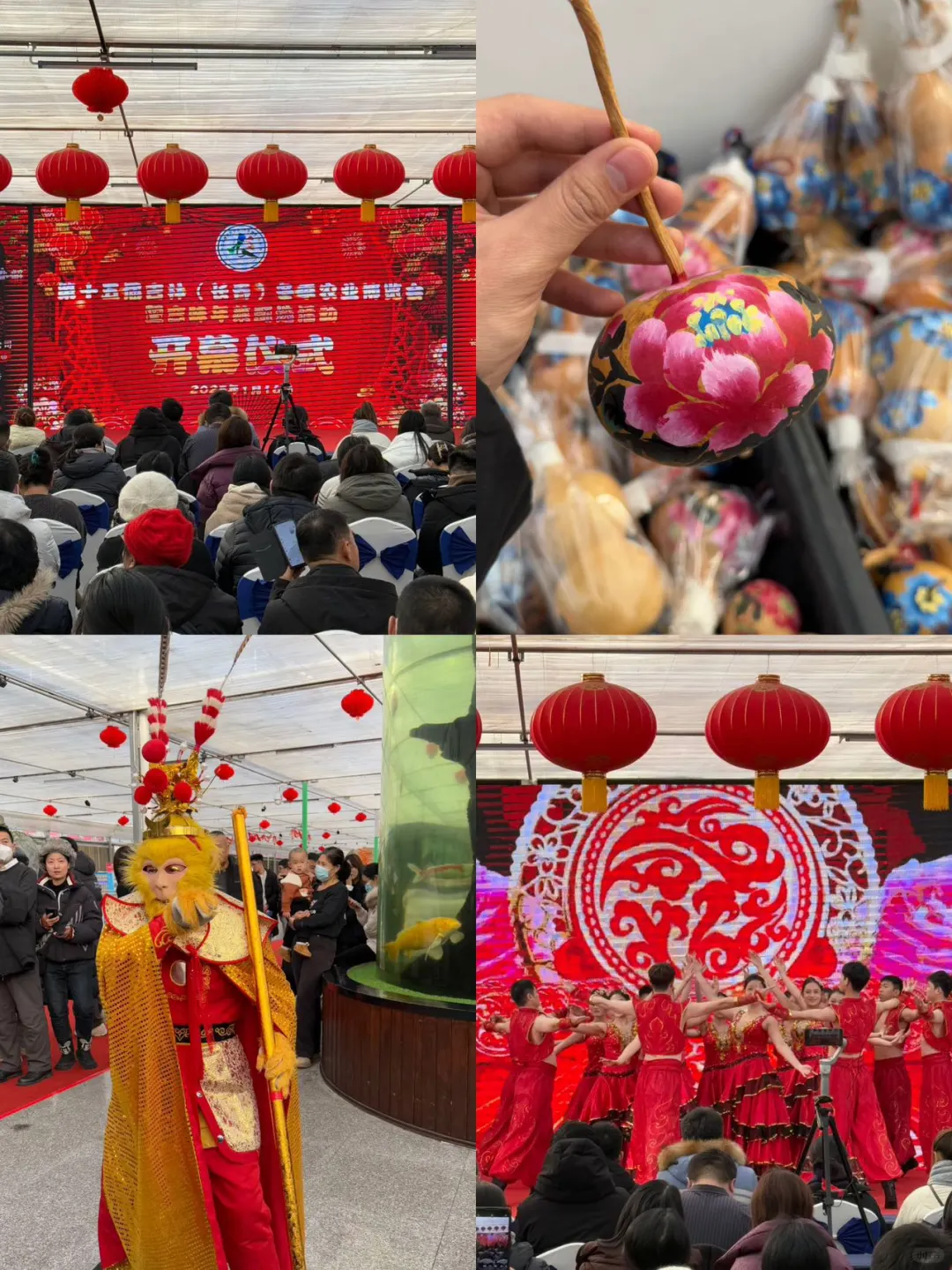 长春第十五届冬季农业博览会来啦！