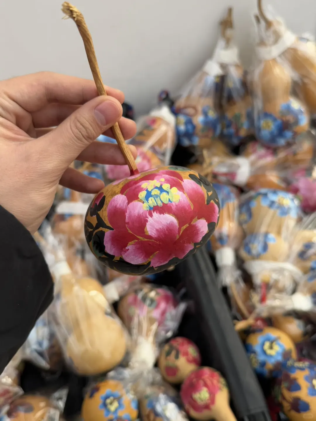 长春第十五届冬季农业博览会来啦！