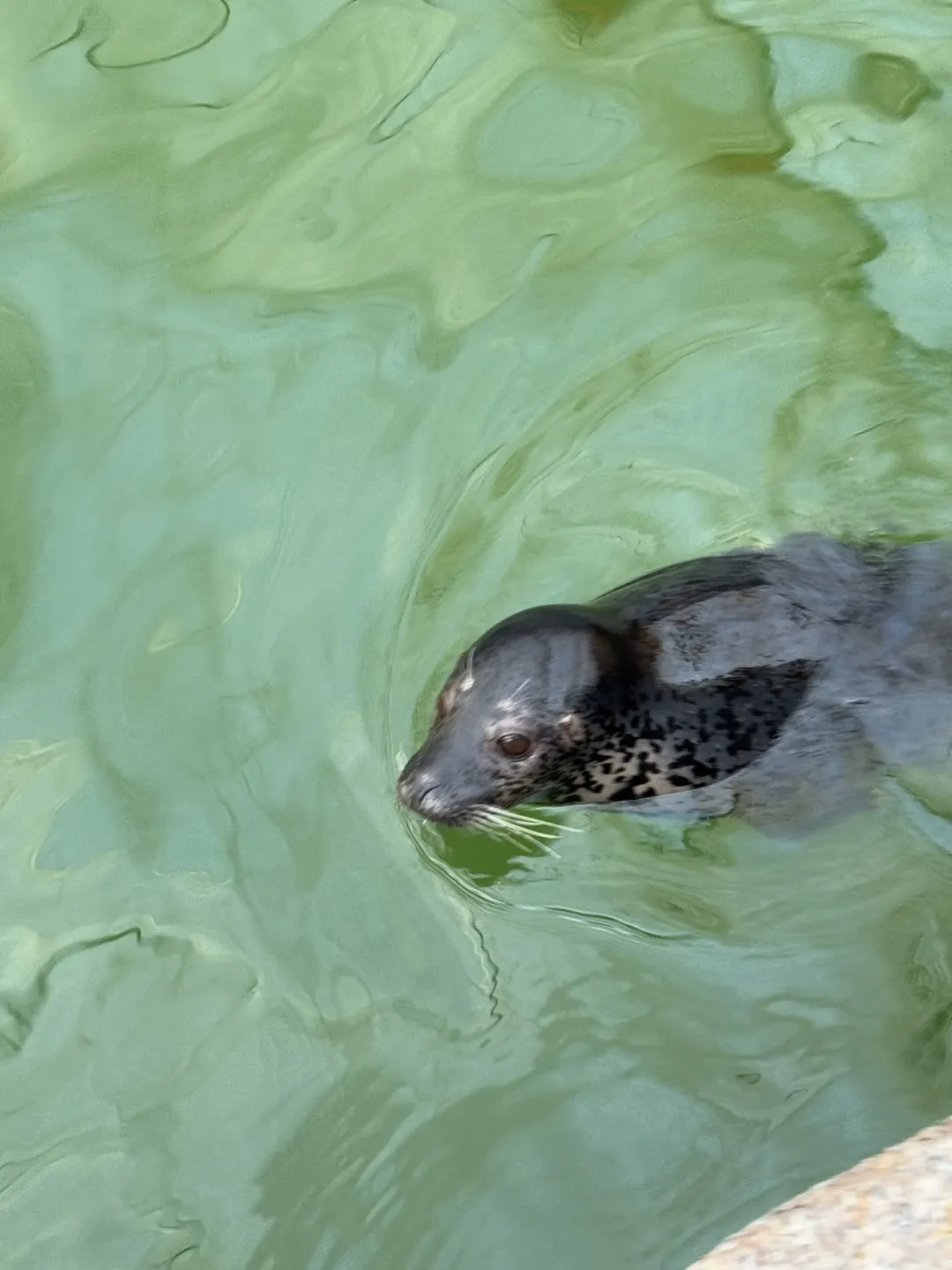 长春第十五届冬季农业博览会来啦！
