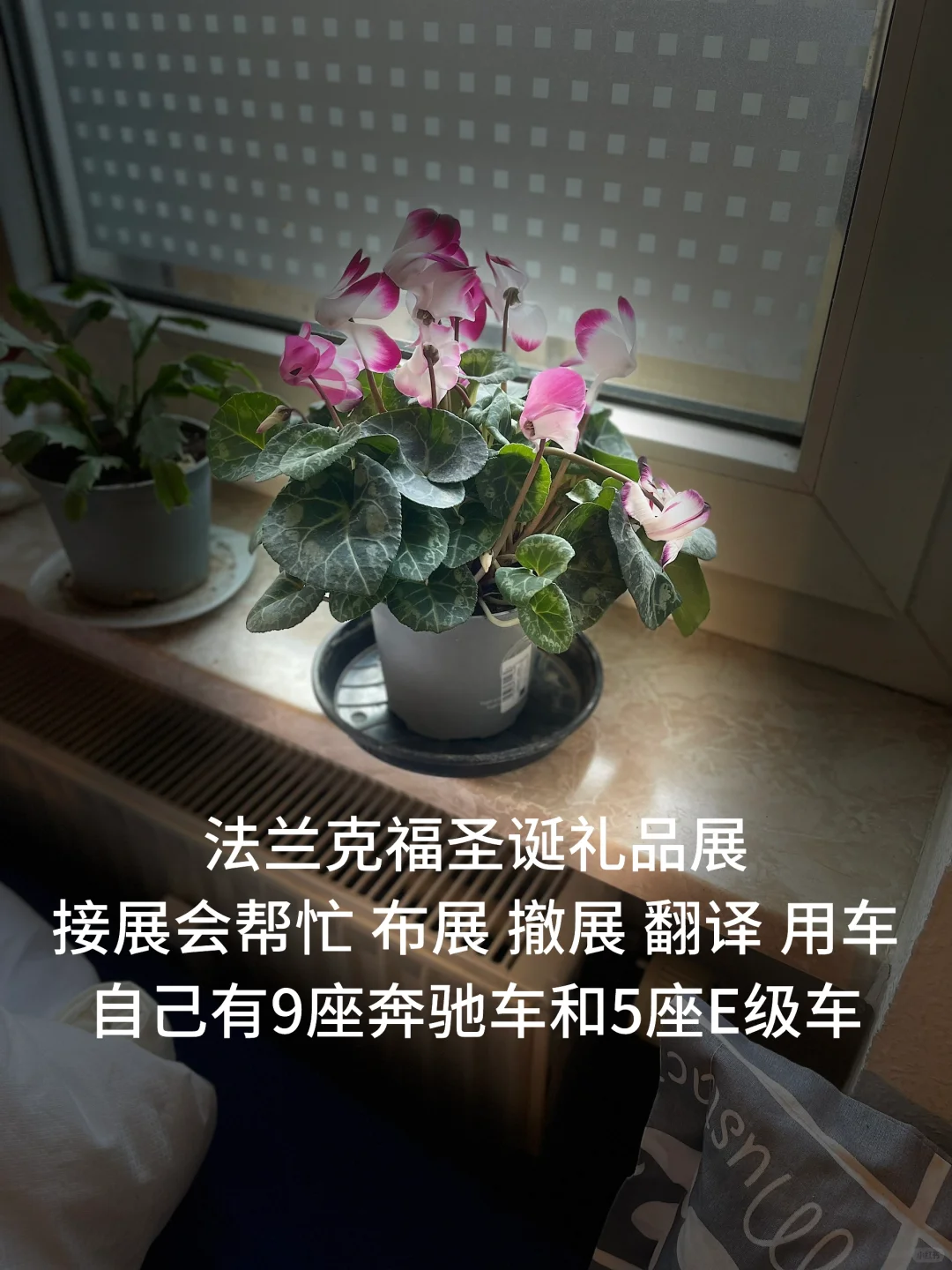 法兰克福圣诞礼品展 接展会服务