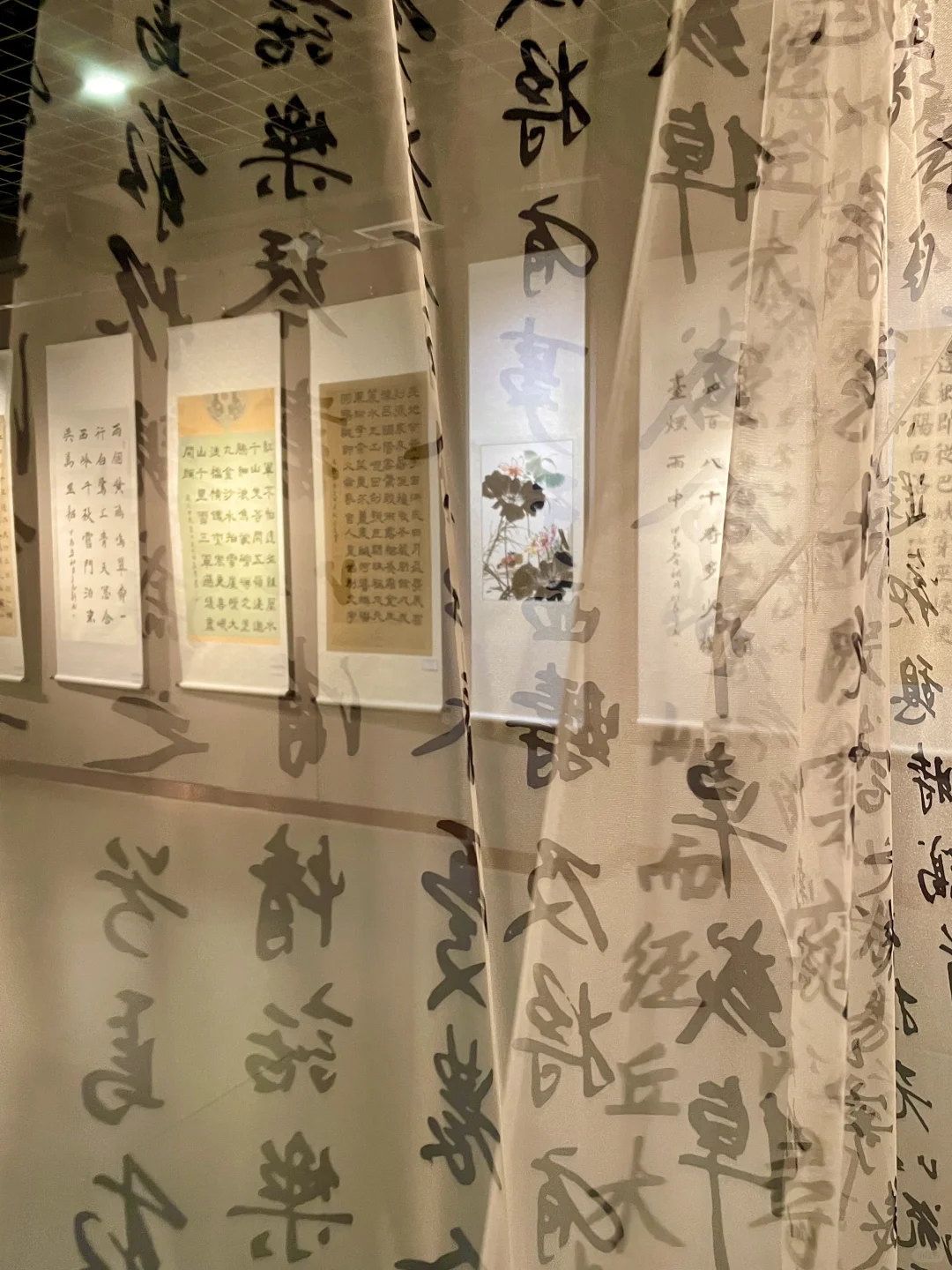 开封！又有新展！！????快去打卡?！！