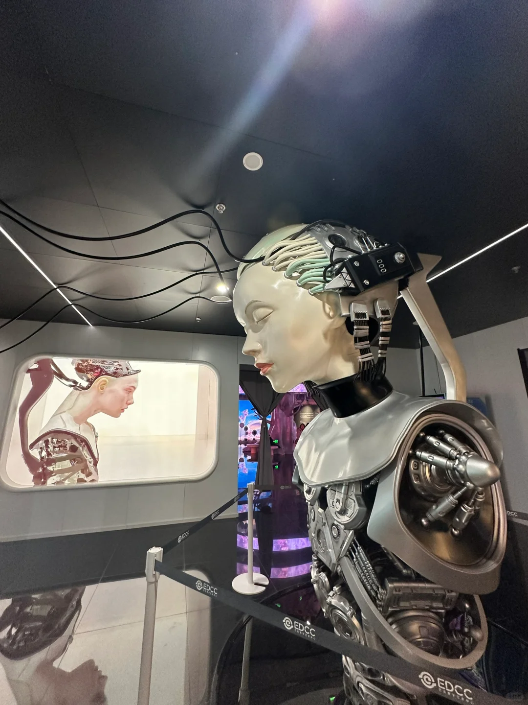 北京也有自己的巨人展啦