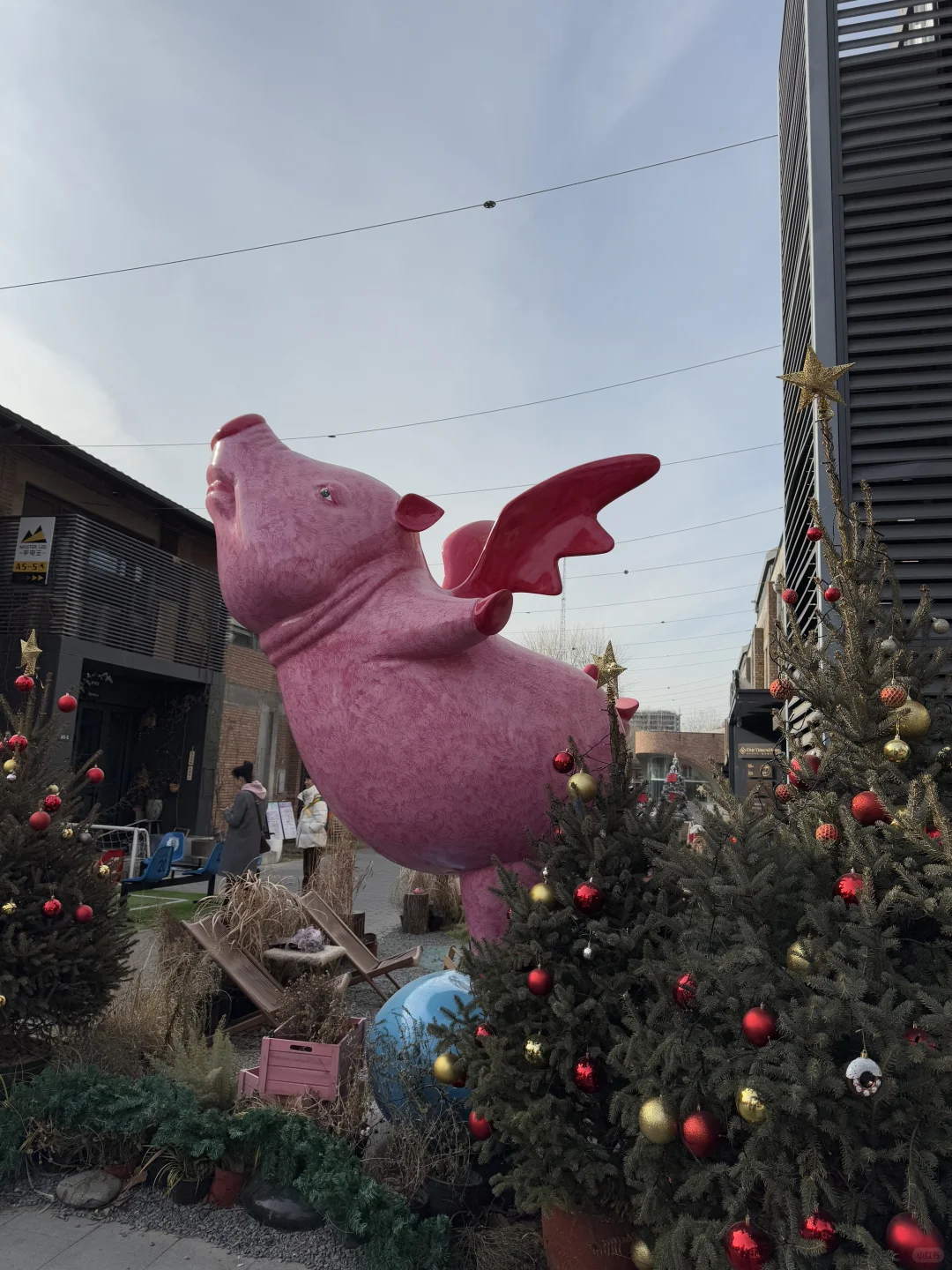 朗园Station‼️最近新展集合，好逛不输798