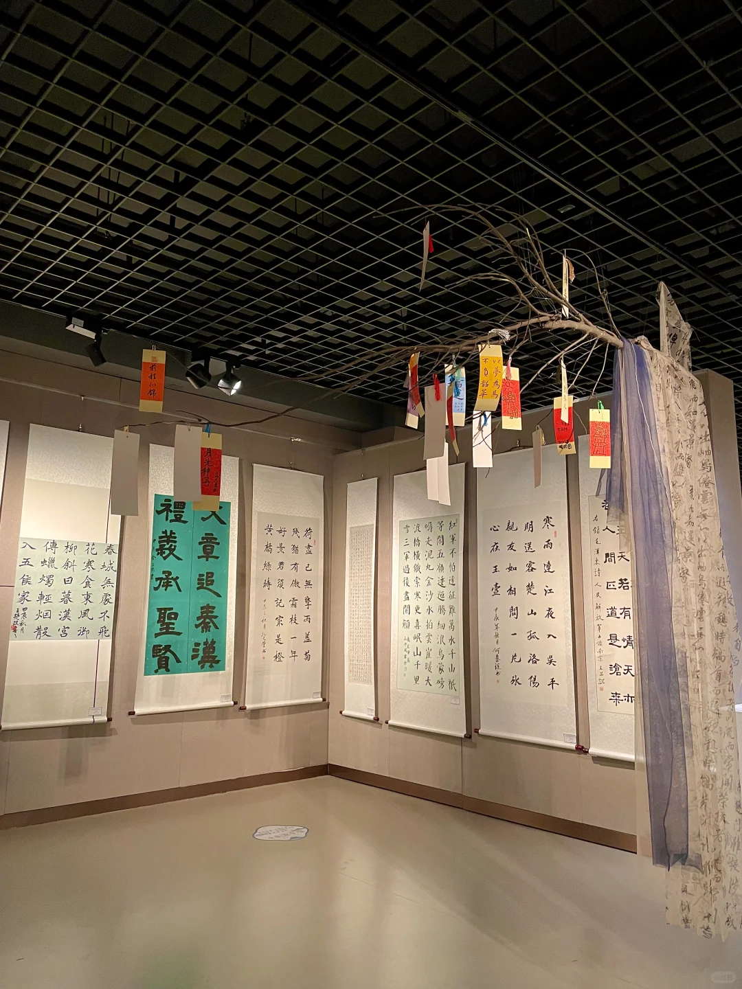 开封！又有新展！！????快去打卡?！！