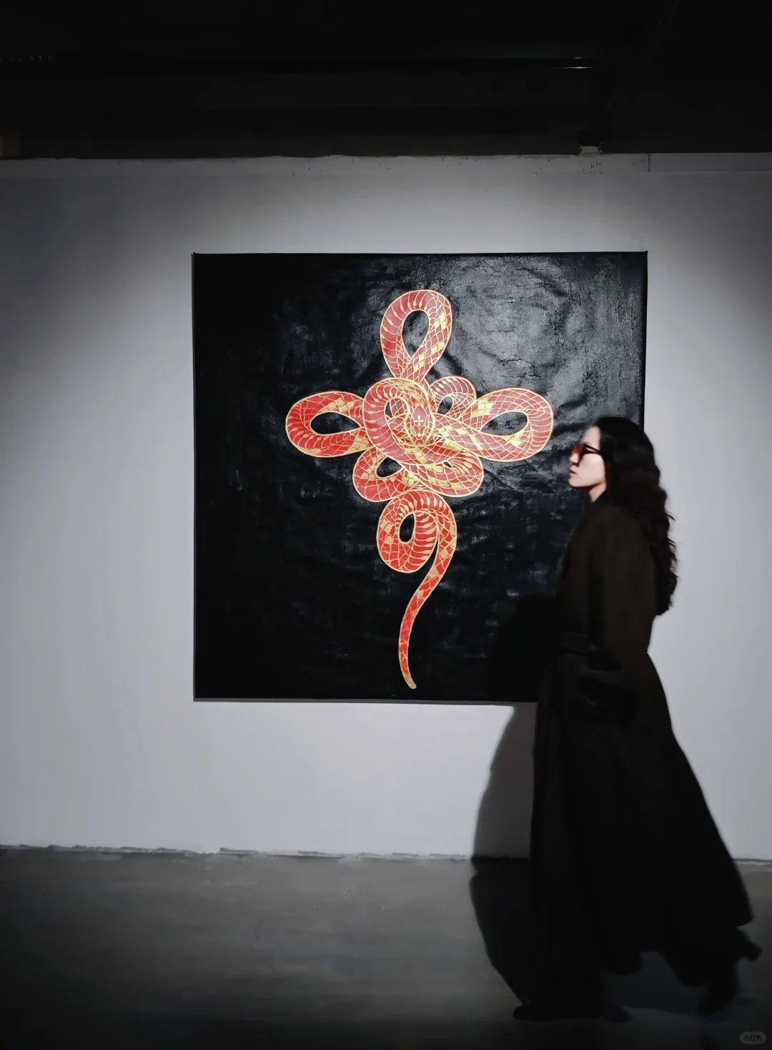 郑州新展|?蛇来运转2025