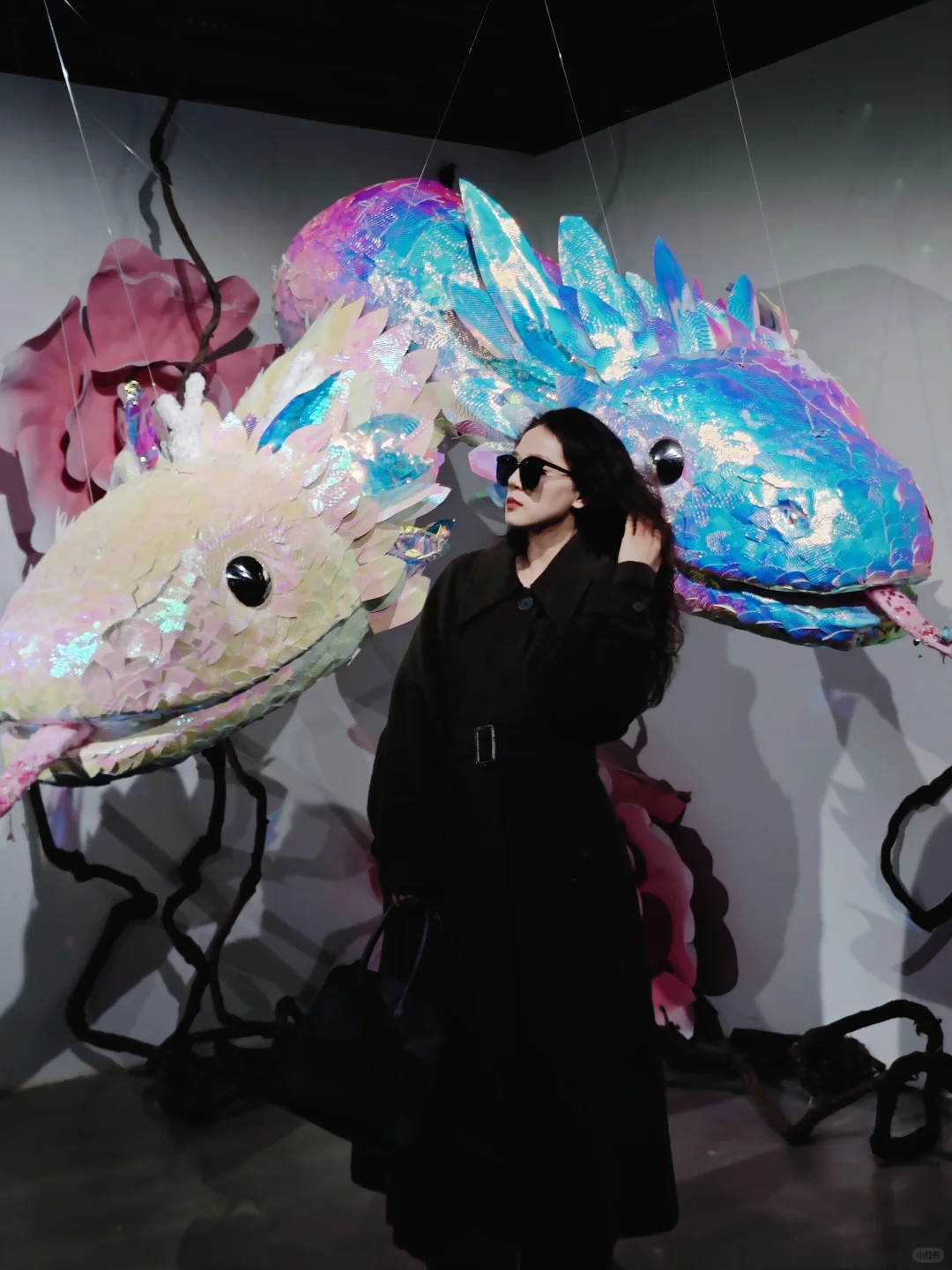 郑州新展|?蛇来运转2025