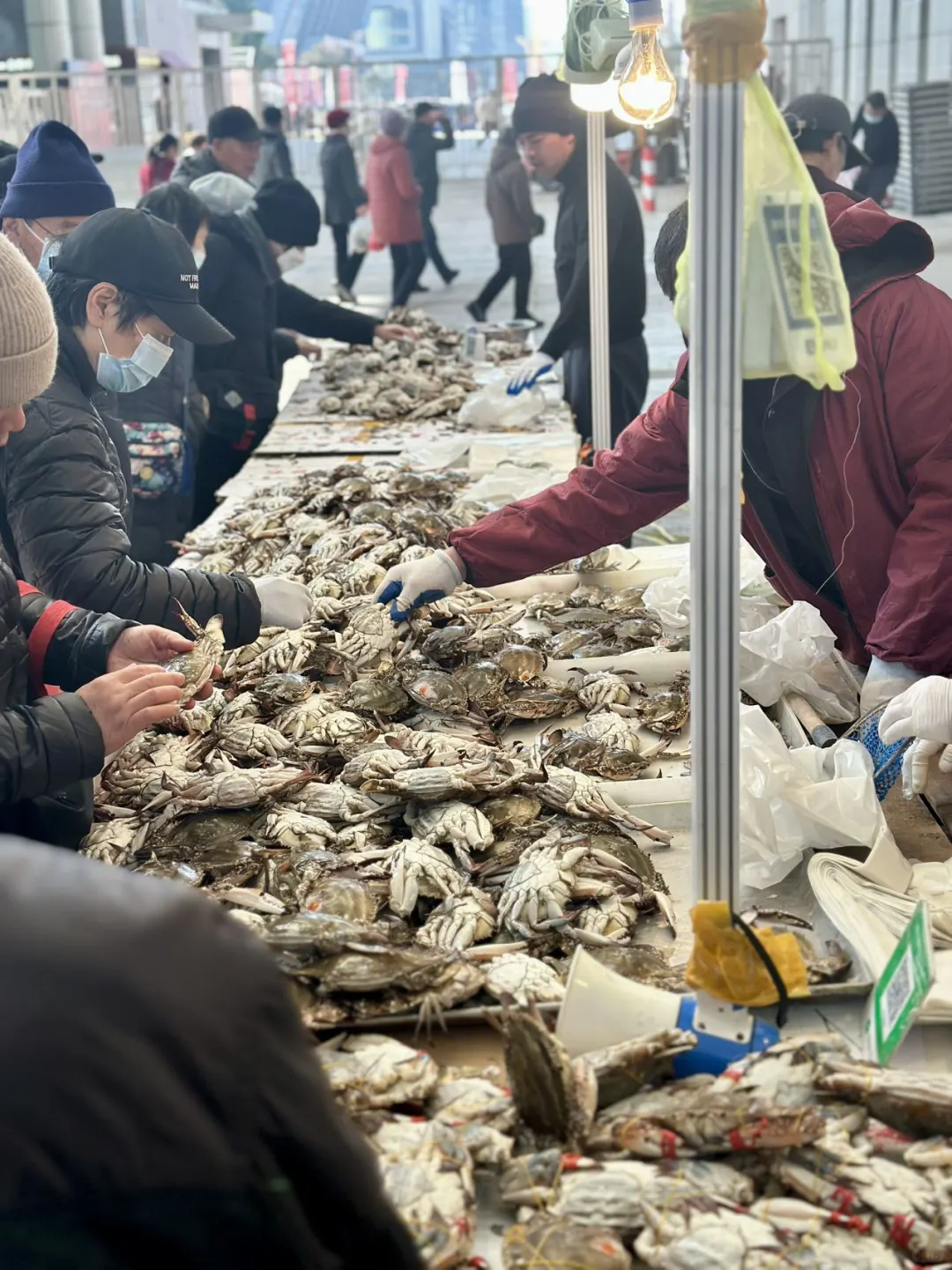 拿捏蛇年氛围 | 宁波年货展嗨玩全攻略‼️